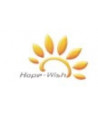 Jinan Hope-Wish Photoelectronic Technology Co., Ltd.